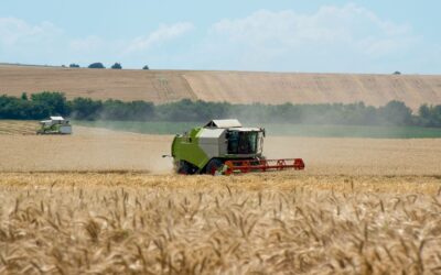 Maximizing Crop Yield with Nitrogen Fertilizers